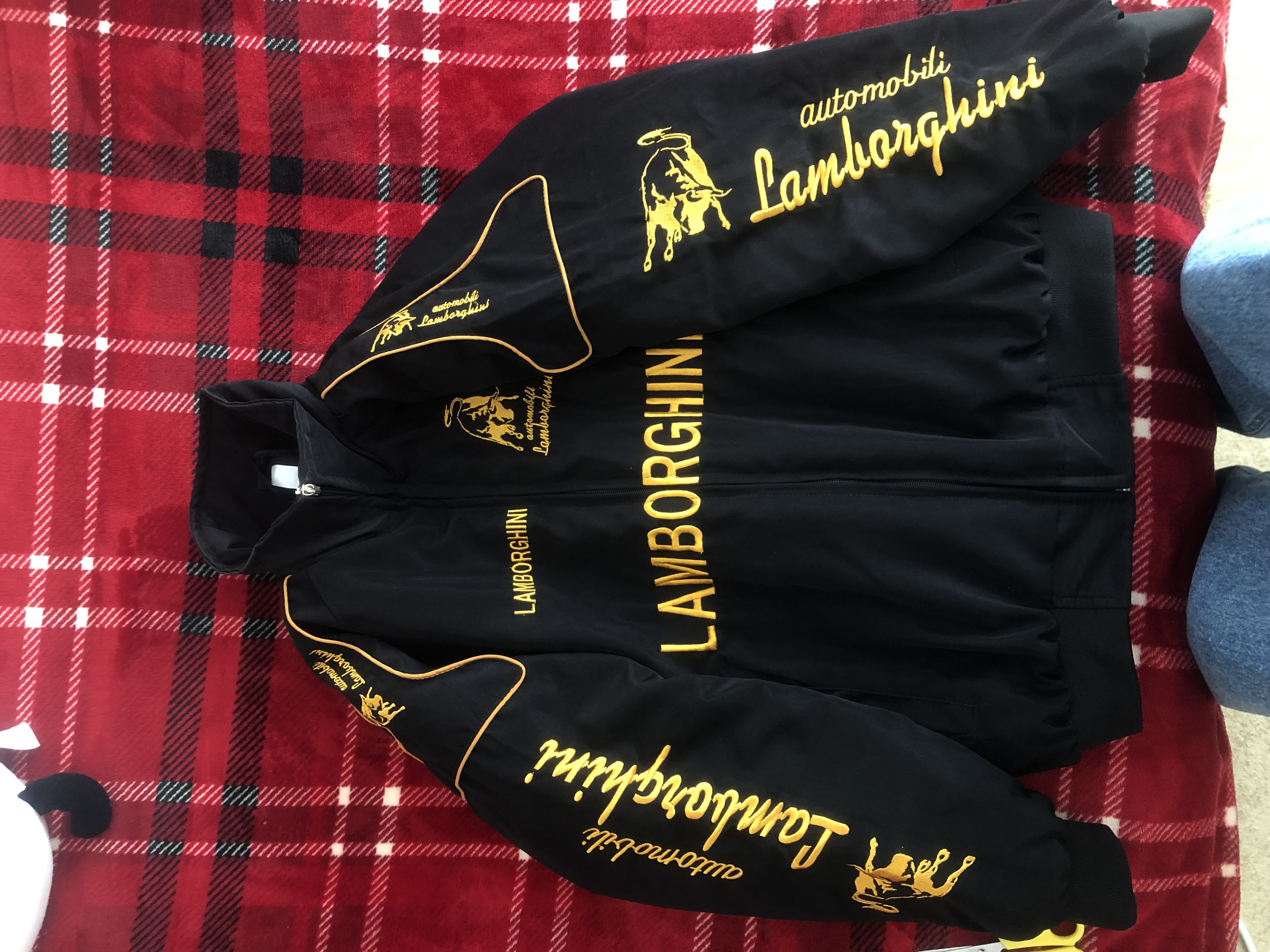 希少❣️ F1レーシングチームジャンパー F1レーシングジャケットランボルギーニ広告レーシングチームジャケット